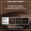 Відтінковий бальзам Syoss Color Glow Cool Brunette - Холодний Каштановий 100 мл (9000101679427) - Image 7