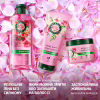 Кондиционер для волос Herbal Essences Аромат розы 250 мл (8700216211024) - Image 4