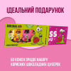 Цукерка Bob Snail Ягідно-фруктові в шоколаді 30 г х 5 шт (4820219347903) - Image 2