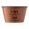 Бульйонниця Ardesto Way of Life 550 мл Brown (AR3479BR) - Image 4