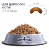 Сухий корм для кішок Club 4 Paws Преміум. Зі смаком курки 300 г (4820083909795) - Image 2