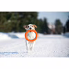 Іграшка для собак Collar PitchDog Кільце для апортування 17 см помаранчеве (62364) - Image 3