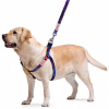 Шлей для собак WAUDOG Nylon с QR-паспортом "NASA21" M (4801-0148) - Image 2
