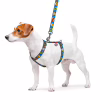 Шлей для собак WAUDOG Nylon с QR паспортом анатомическая H-образная "ВАУ" S (5606) - Image 3