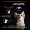 Сухой корм для кошек Purina Pro Plan Original Kitten с курицей 400 г (7613036545099) - Image 5