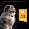 Сухий корм для собак Purina Pro Plan Dog Medium Puppy з високим вмістом курки 12 кг (7613035120402) - Image 6