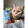 Ласощі для котів GimCat Nutri Pockets Fish Лосось 60 г (4002064419626) - Image 7