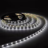 Світлодіодна стрічка LED-STIL 6000K 4,8 Вт/м 2835 60 діодів IP33 12 Вольт 550 lm (DFN2835-60A6-IP33) - Image 2