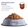 Сухий корм для кішок Club 4 Paws Преміум. Підтримка здоров'я сечовидільної системи 14 кг (4820083909375) - Image 2