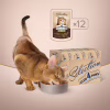 Вологий корм для кішок Club 4 Paws Paws Selection Преміум Шматочки з куркою та телятиною в соусі 80 г (4820215368018) - Image 7