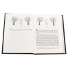 Книга Жорстокий принц - Голлі Блек Vivat (9789669820631) - Image 4
