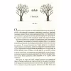 Книга Жорстокий принц - Голлі Блек Vivat (9789669820631) - Image 7
