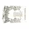 Книга Королева порожнечі - Голлі Блек Vivat (9789669822000) - Image 6