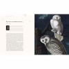 Книга Гаррі Поттер. Історія магії. Велике ілюстроване видання - Джоан Ролінґ А-ба-ба-га-ла-ма-га (9786175851685) - Image 2