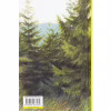 Книга Велике коло - Меґґі Шіпстед Видавництво Старого Лева (9789664483282) - Image 2