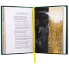 Книга Скіфська одіссея - Ліна Костенко А-ба-ба-га-ла-ма-га (9786175852972) - Image 5