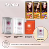 Фарба для волосся Acme Color Avena Shine Color Стійка 066 - Трюфельний каштан (4823115502612) - Image 7
