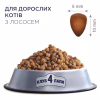 Сухой корм для кошек Club 4 Paws Премиум. С лососем 300 г (4820083909221) - Image 2
