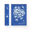 Книга Амадока - Софія Андрухович Видавництво Старого Лева (9786176796299) - Image 4