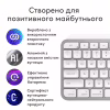 Клавіатура Logitech MX Keys S для MAC Bluetooth/Wireless UA Pale Grey (920-011638) - Image 4