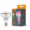 Лампочка Videx Filament R80FF 09W E27 1200K (VL-R80FF-09271) - Image 2