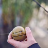 Ехолот Deeper Smart Sonar CHIRP+ 2.0, FLDP-36 (ITGAM0997) - Image 4