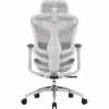 Офісне крісло Sihoo DORO C300L Mesh White (DORO-C300L-A3-102) - Image 3