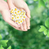 Гігієнічні прокладки Naturella Ultra Normal 20 шт (8001090585592) - Image 7