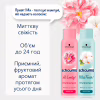Сухий шампунь Schauma Miss Fresh! для жирного волосся 150 мл (9000101213942) - Image 2