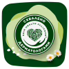 Гигиенические прокладки Naturella Classic Night 28 шт. (8700216819305) - Image 8