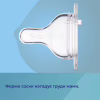 Пляшечка для годування Canpol babies Easystart Sleepy Koala 300 мл блакитна (35/238_blu) - Image 8