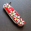 Ніж Victorinox Classic SD Edelweiss (0.6223.840) - Image 5
