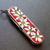 Ніж Victorinox Classic SD Edelweiss (0.6223.840) - Image 6