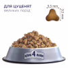 Сухой корм для собак Club 4 Paws Премиум. Для щенков больших пород со вкусом курицы 2 кг (4820083909481) - Image 2