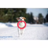 Игрушка для собак Collar PitchDog Кольцо для апортировки 17 см розовое (62367) - Image 3