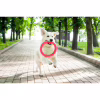 Игрушка для собак Collar PitchDog Кольцо для апортировки 17 см розовое (62367) - Image 7