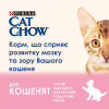 Сухий корм для кішок Purina Cat Chow Kitten з куркою 1.5 кг (5997204513984) - Image 6