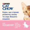Сухой корм для кошек Purina Cat Chow Kitten с курицей 1.5 кг (5997204513984) - Image 6