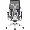 Офісне крісло Sihoo DORO S300 Mesh Dark Grey (S300-M201) - Image 3