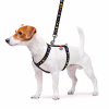 Шлей для собак WAUDOG Nylon с QR паспортом анатомическая H-образная "NASA" M (5542) - Image 3