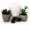 USB флеш накопитель Wibrand 128GB Scarab Black USB 3.2 (WI3.2/SC128P11B) - Image 5