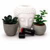 USB флеш накопитель Wibrand 32GB Scarab Black USB 3.2 (WI3.2/SC32P11B) - Image 5