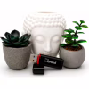USB флеш накопитель Wibrand 64GB Scarab Black USB 3.2 (WI3.2/SC64P11B) - Image 4