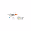 Патч-корд 3м S/FTP Cat 6A CU LSZH gray Cablexpert (PP6A-LSZHCU-3M) - Image 3