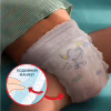 Підгузки Pampers Premium Care Pants Maxi Трусики Розмір 4 (9-15 кг) 114 шт. (8006540490938) - Image 5