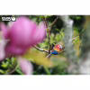 Пазл Eugy 3D Зоопарк Папуга Ара (XEG-023) - Image 8
