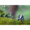 Пазл Eugy 3D Зоопарк Слон (XEG-010) - Image 7