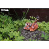 Пазл Eugy 3D Зоопарк Тигр (XEG-012) - Image 8