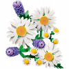Конструктор LEGO Botanicals Ромашки (11508) - Image 5