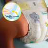 Підгузки Pampers PAMPERS Дитячі підгузники Premium Care Giant (13-18 кг) Мега Упаковка (8006530260176) - Image 7